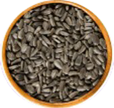 Sunflower Seeds